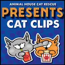 Cat Clips: A Competition in Cuteness!