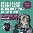 Episode 9: Puppy Fear Period and Introducing New Things