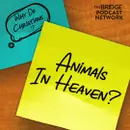 Why Do Christians Think Dogs Go To Heaven?