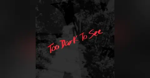 Too Dark To See