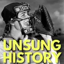 The All-American Girls Professional Baseball League