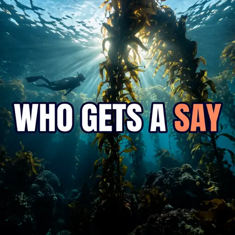 California Votes on 15 MPA Changes in October. Who Got a Say?