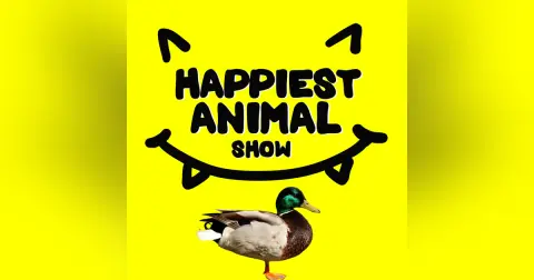 Funny Animal Butts (with comedians Jason and Randy Sklar)