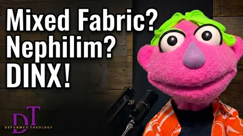 Does Dinx Wear A Tinfoil Hat? Is He Made From Mixed Fabrics? Ep.72