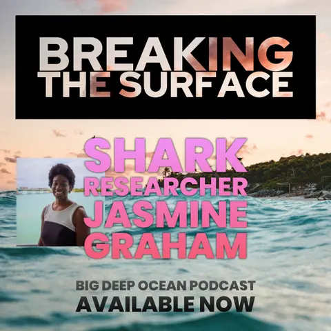 Breaking The Surface - Shark researcher Jasmine Graham on the surprisingly deep connections which attracted her to sharks