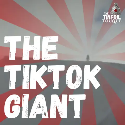 The TikTok Giant