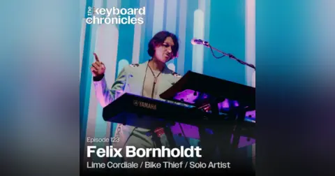 Felix Bornholdt, Lime Cordiale / Bike Thief / Solo Artist