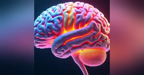 Pediatric Status Epilepticus