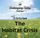 The Habitat Crisis #4 - Bee and Butterfly Fund (302)