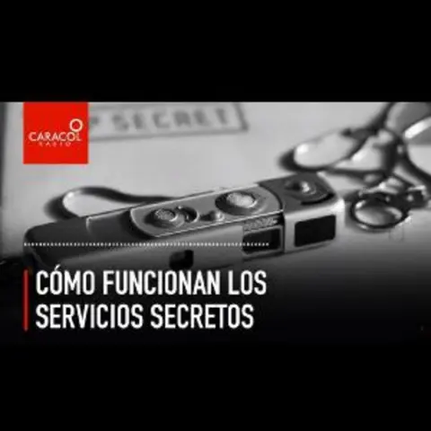 ¿Cómo funcionan los servicios secretos?