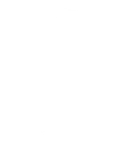 Welcome to the Brass Eagle Logo