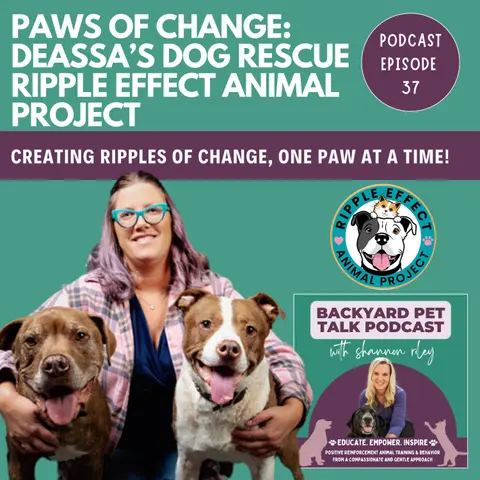 Paws of Change: Deassa’s Dog Rescue Ripple Effect Animal Project