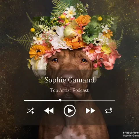 Photographer Sophie Gamand on Her Life-Saving Dog Photography and Animal Advocacy