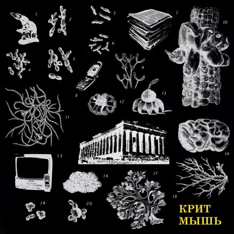 Горизонталь против вертикали [Демократия и власть]