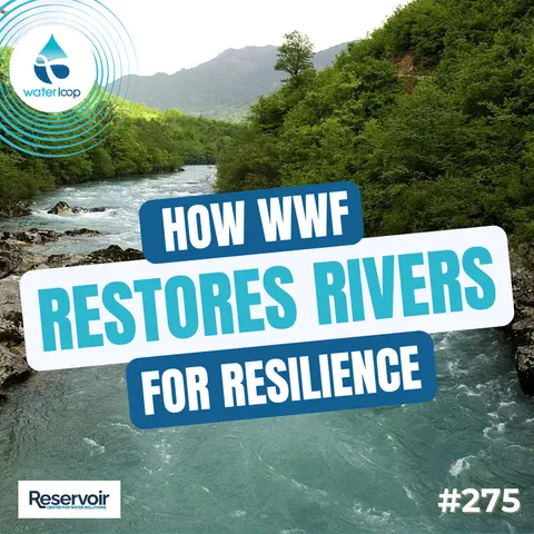 How WWF Restores Rivers For Resilience
