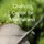 Charlotte Center For Mindfulness // Podcasts