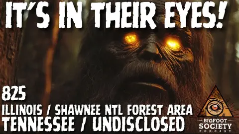 It's in Their Eyes!