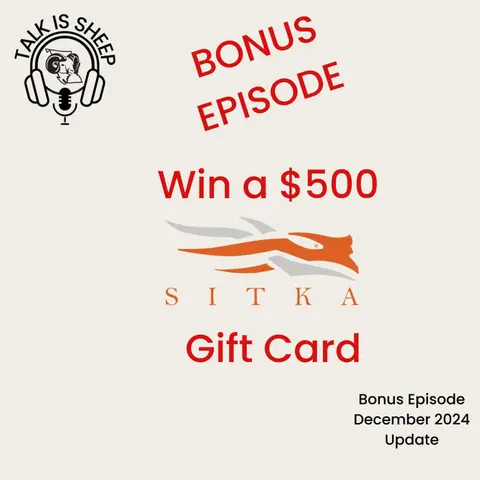 Bonus Episode of Talk is Sheep - December 2024 Update