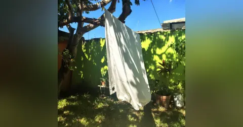 Telas al viento