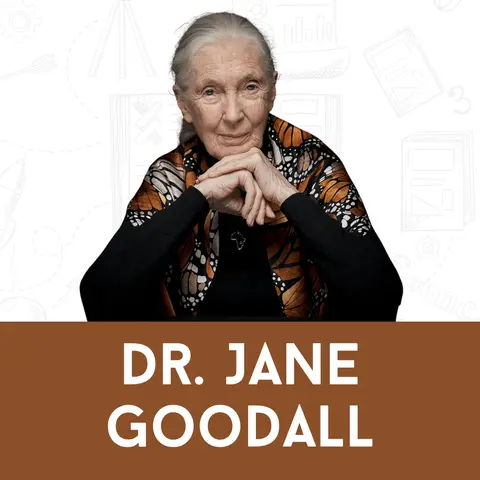 Remembering Dr. Jane Goodall: The Wild Fight for Our Planet