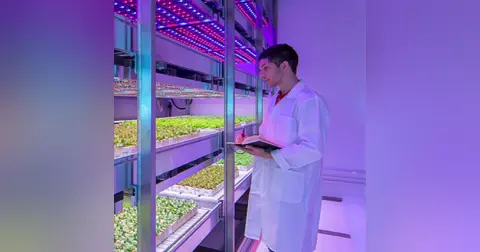 France's Future Farmers Have Tech Shrewdness, and Want Weekends Off