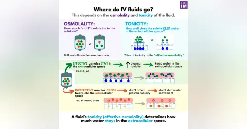 #103 Fluids: 5 Pearls Segment