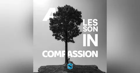 A Lesson In Compassion