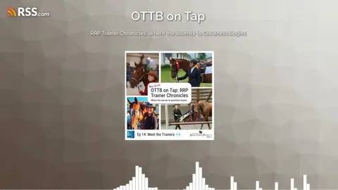 RRP Trainer Chronicles: Where the Journey to Greatness Begins