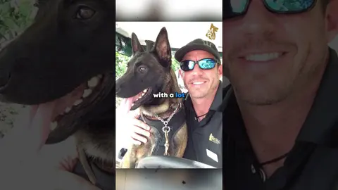 Pro Tip From A K9 Ex Navy SEAL K9 Trainer!