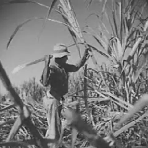 #1069 La economía de Puerto Rico bajo el dominio de los estadounidenses (1898-2025)