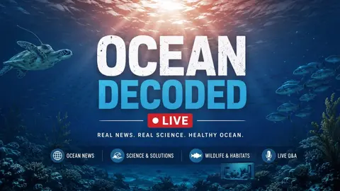 Ocean Heat Just Broke a Record, Meet Andy Dehart, and Sea Turtles' Lost Years Solved