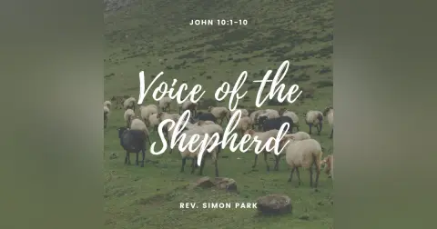 Voice of the Shepherd