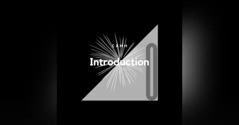 0 - Introduction
