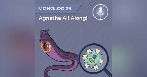 Monolog 29 - Agnatha All Along: The immune system of the jawless fish