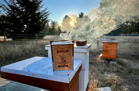Preparing for Success: Essential Considerations for Beginning Beekeepers