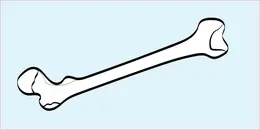 Upper Extremity Fractures