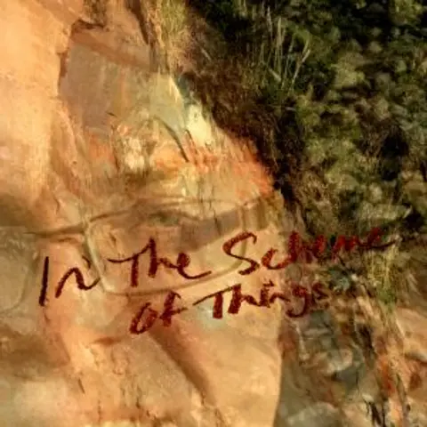 In The Scheme Of Things