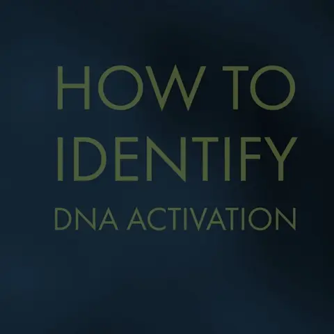 #104 Lisa Bartello | Mystic | Synchronicity | Darkness & Light | 144,00 Revelations | Project Looking Glass | DNA Activation | Energy Healing | Schumann Resonance | Alpha Mind
