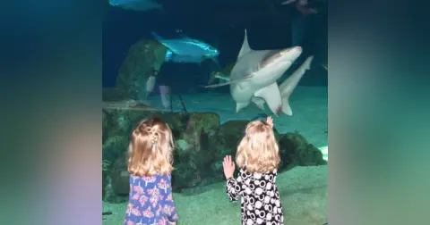 At The Aquarium