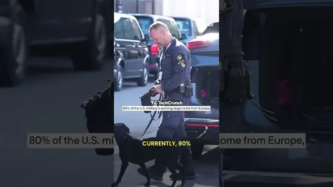 A startup has announced a path towards a genetically engineered war dog