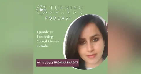 Protecting Sacred Groves in India (with Radhika Bhagat)
