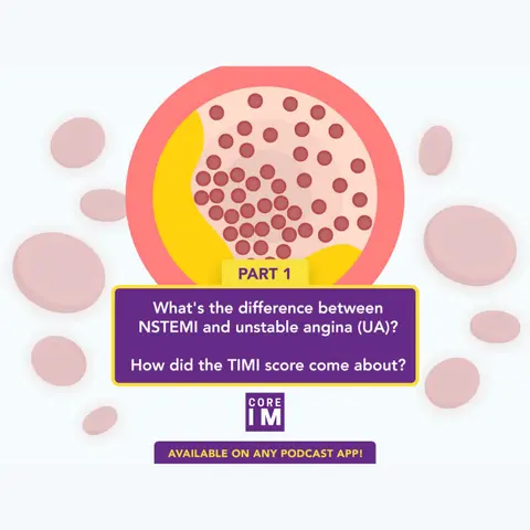 #35 Acute Coronary Syndrome and TIMI Risk Score: Mind the Gap Segment
