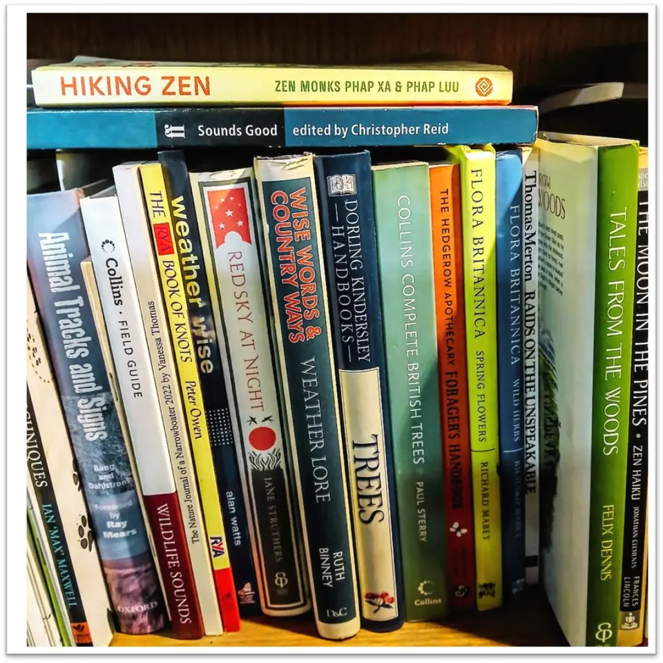 Books 1 (comp).jpg Bookshelf on the Erica