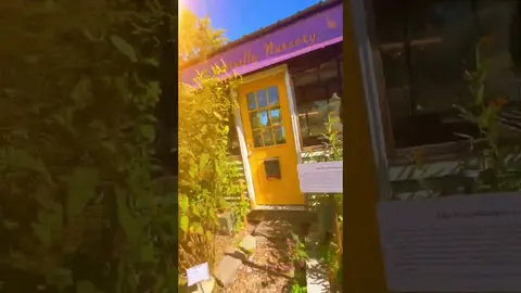 Exploring Detroit Abloom - A Farm & Wellness Experience in Detroit