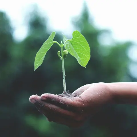Prioritize Protection Without Sacrificing Growth: Your Retirement Game Plan