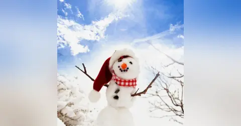 Happy Holidays