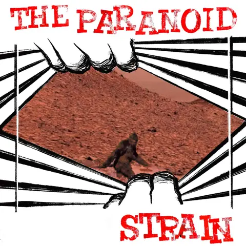 New! Unidentified--Diane Pasulka and the Bigfoot on Mars