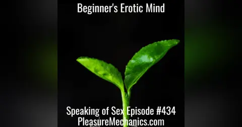 Beginner’s Erotic Mind