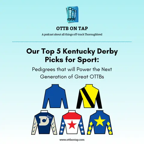 Our Top 5 Kentucky Derby Picks for Sport: Pedigrees that will Power the Next Generation of Great OTTBs