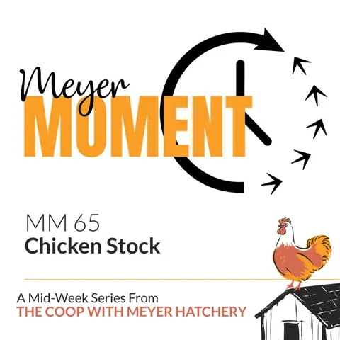 Meyer Moment: Chicken Stock